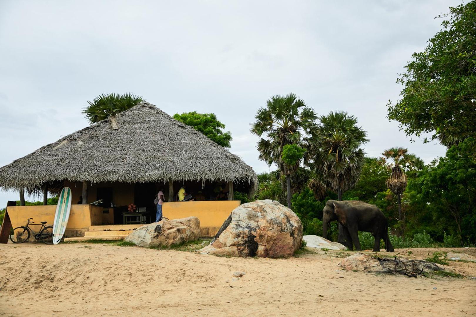 Arugambay Coco Bay Hotel Аругам Бей Екстериор снимка